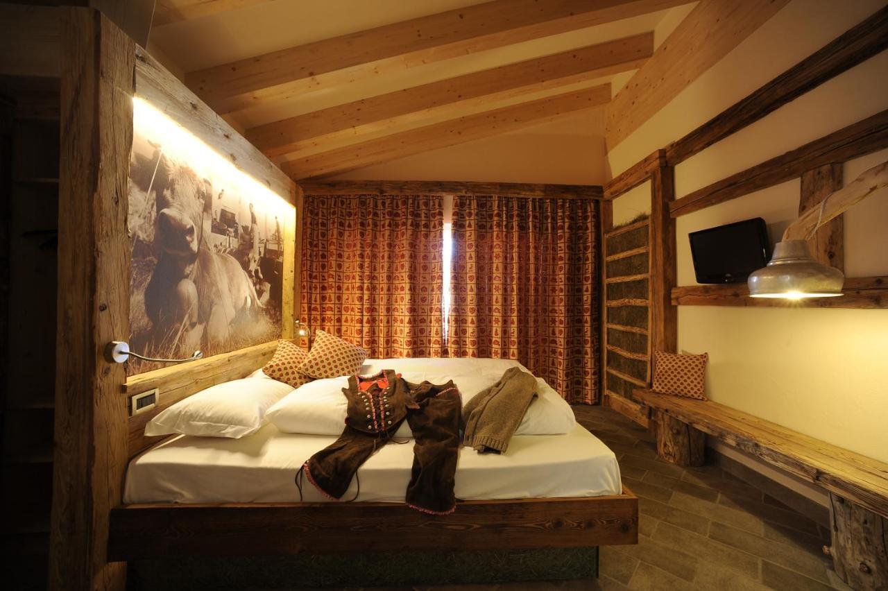 Suite Mountain View